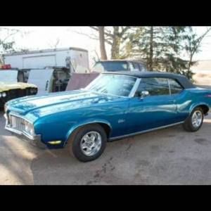 Meet your Posher, Frankie